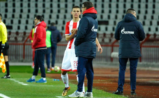 crvenazvezdafk.com