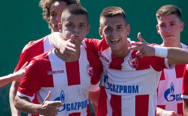 crvenazvezdafk.com